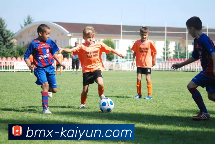 开云官网服务体系